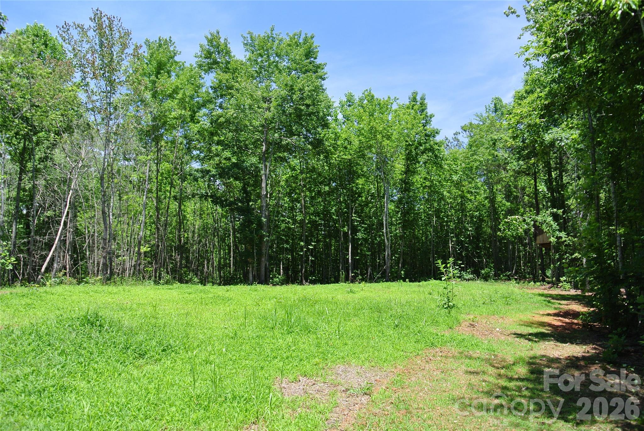 779 Thermal City Road Union Mills, NC 28167 - Photo 39 of 48