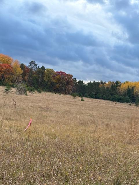 Tbd Tract D Tbd Tract D Gunpowder Rd Center Merrifield, MN 56465 - Photo 3 of 3