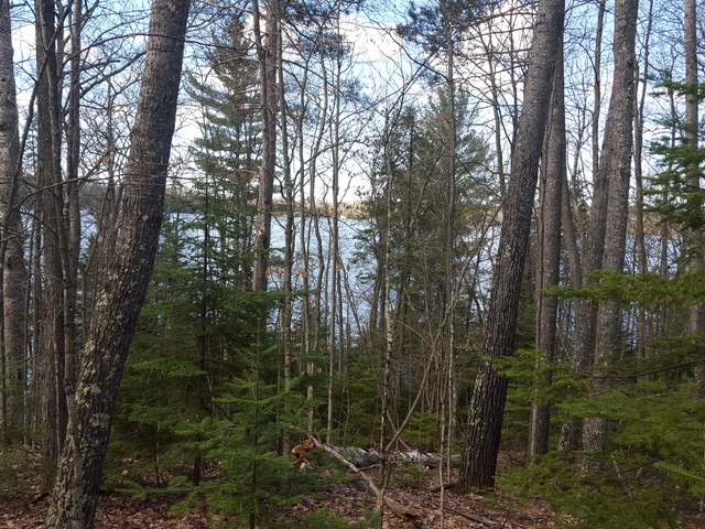Lot 4 West Carpenter Lake Road Eagle River, WI 54521 - Photo 5 of 20 Gallery Image 5