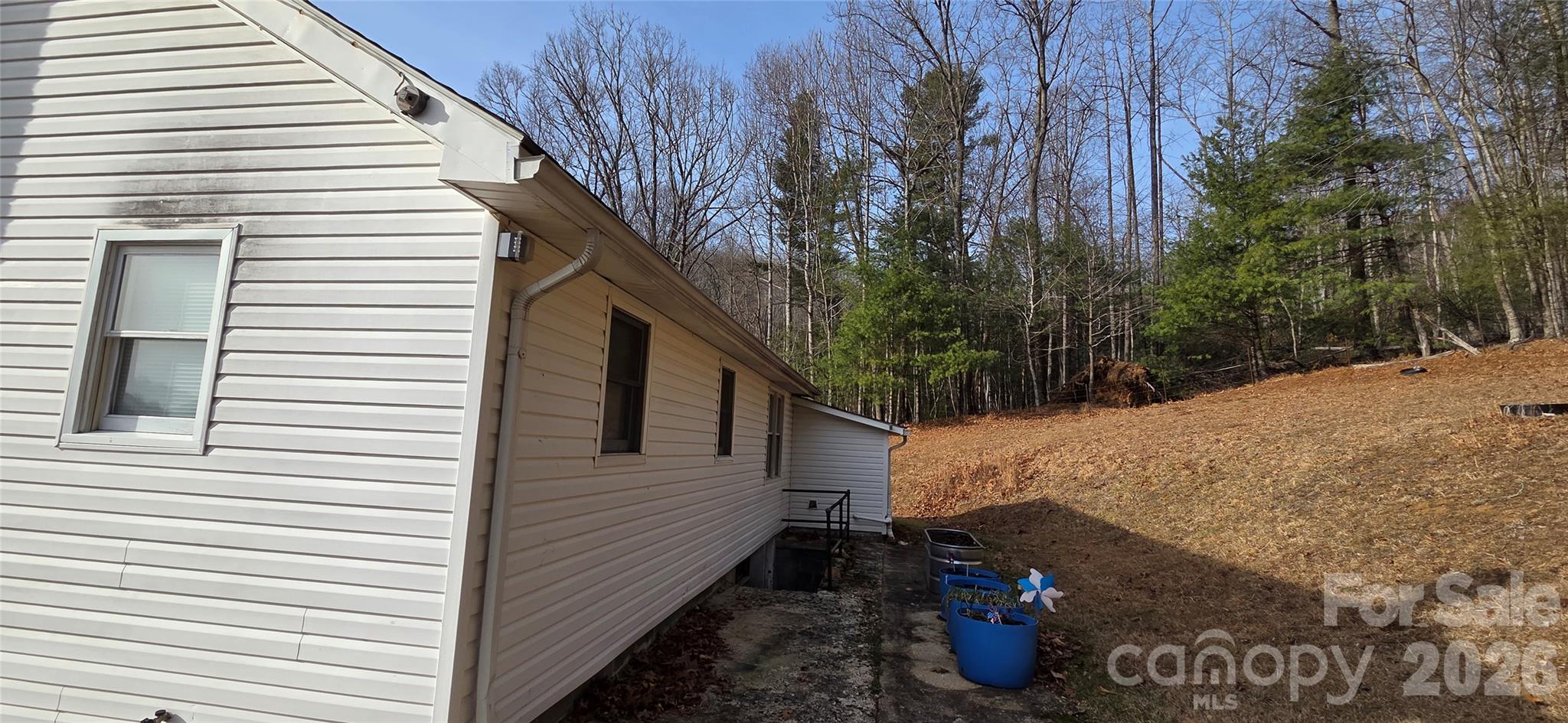 212 Old Dale Road Spruce Pine, NC 28777 - Photo 29 of 30 a view of a house with a backyard