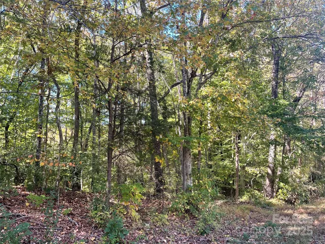 a view of a yard with a tree
