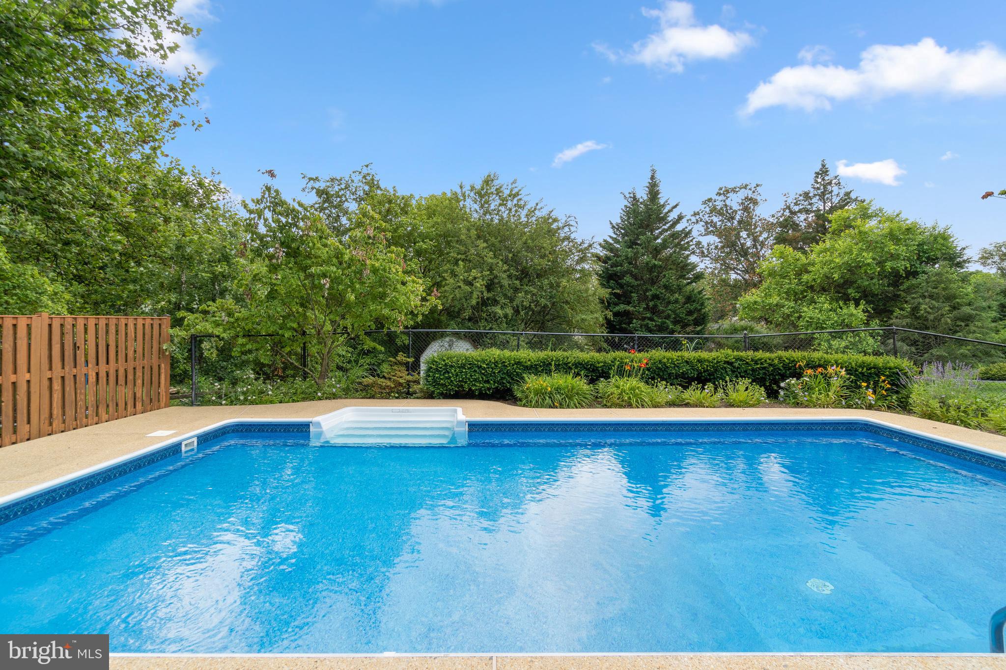 1203 Ednor Road Silver Spring, MD 20905 - Photo 37 of 51 Pool