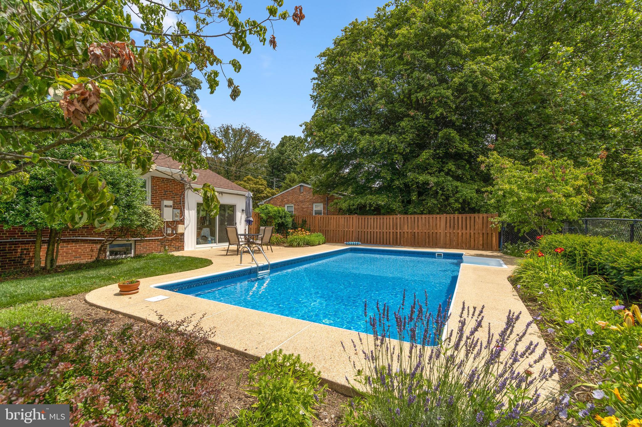 1203 Ednor Road Silver Spring, MD 20905 - Photo 39 of 51 Rear Yard w/Pool