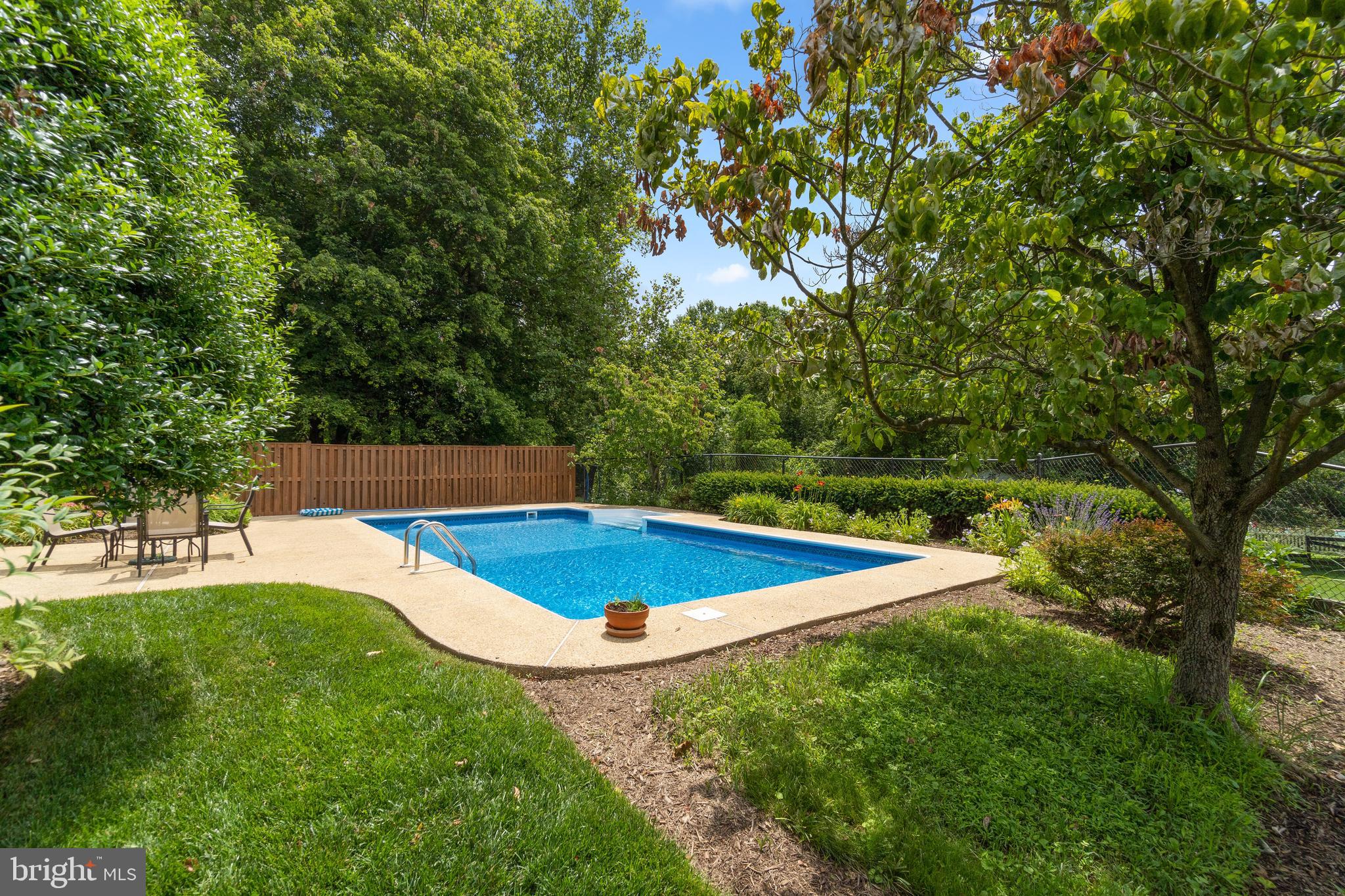1203 Ednor Road Silver Spring, MD 20905 - Photo 41 of 51 Rear Yard w/Pool