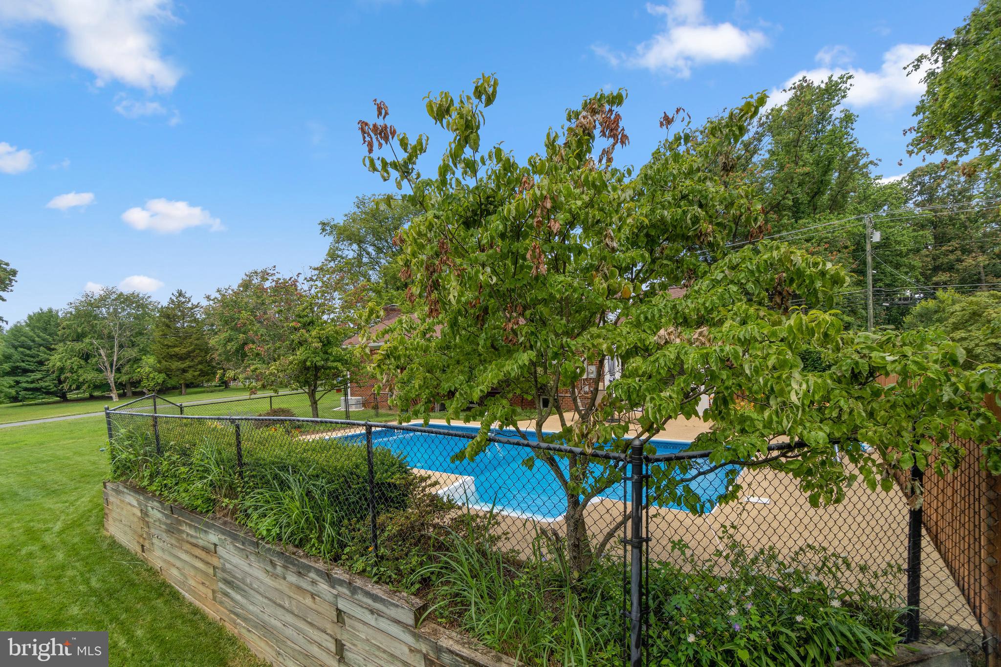 1203 Ednor Road Silver Spring, MD 20905 - Photo 43 of 51 Rear Yard w/Pool