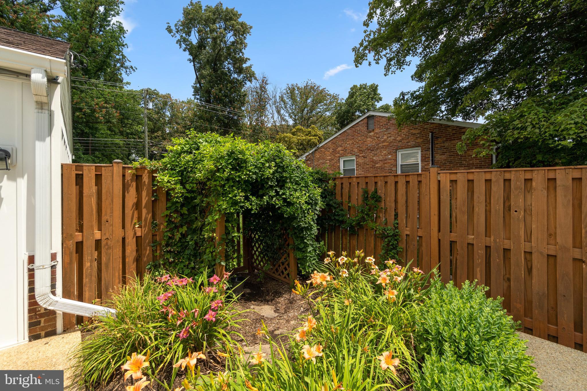 1203 Ednor Road Silver Spring, MD 20905 - Photo 44 of 51 Rear