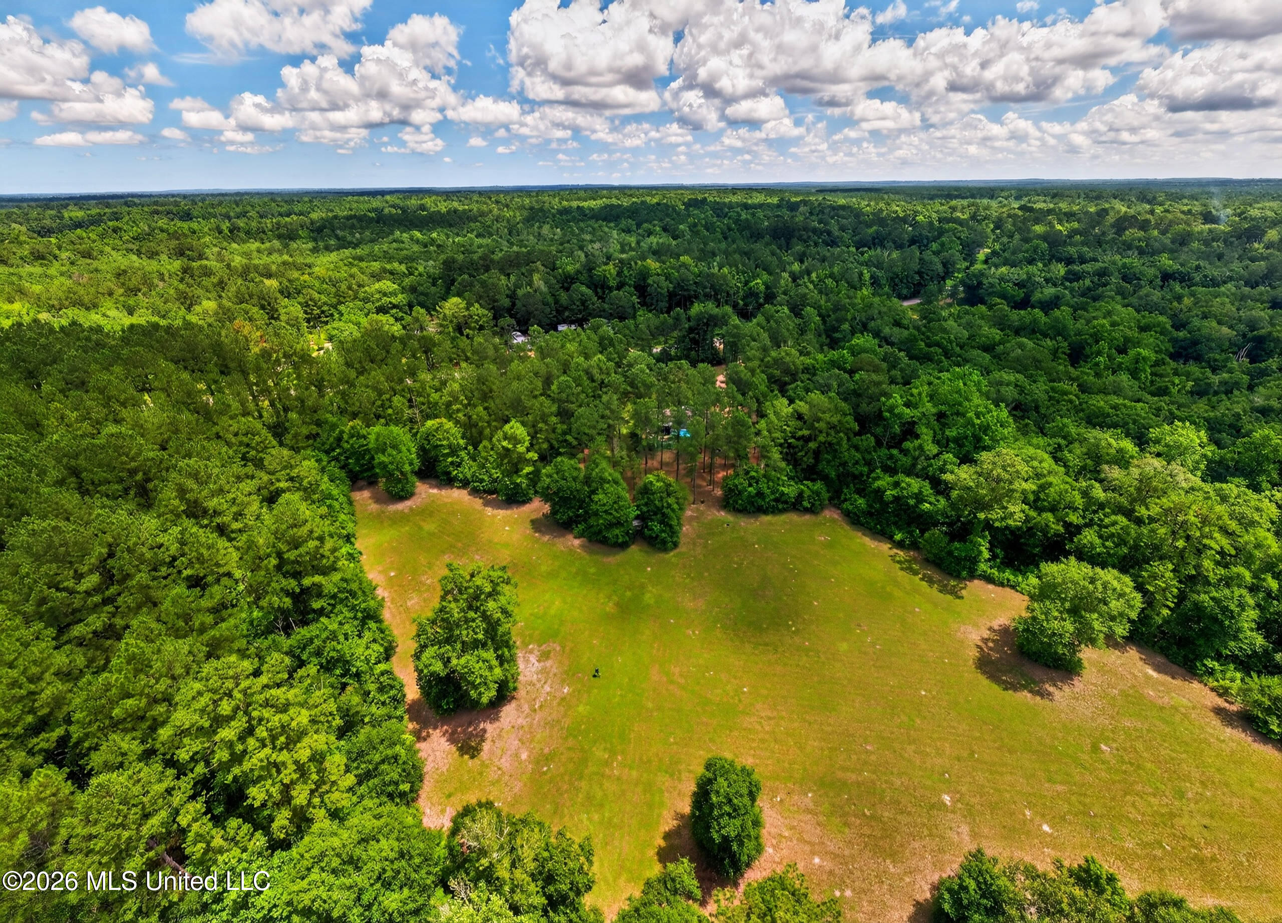 78 Game Reserve Road Columbia, MS 39429 - Photo 67 of 83 78GamerReserveRd.-61