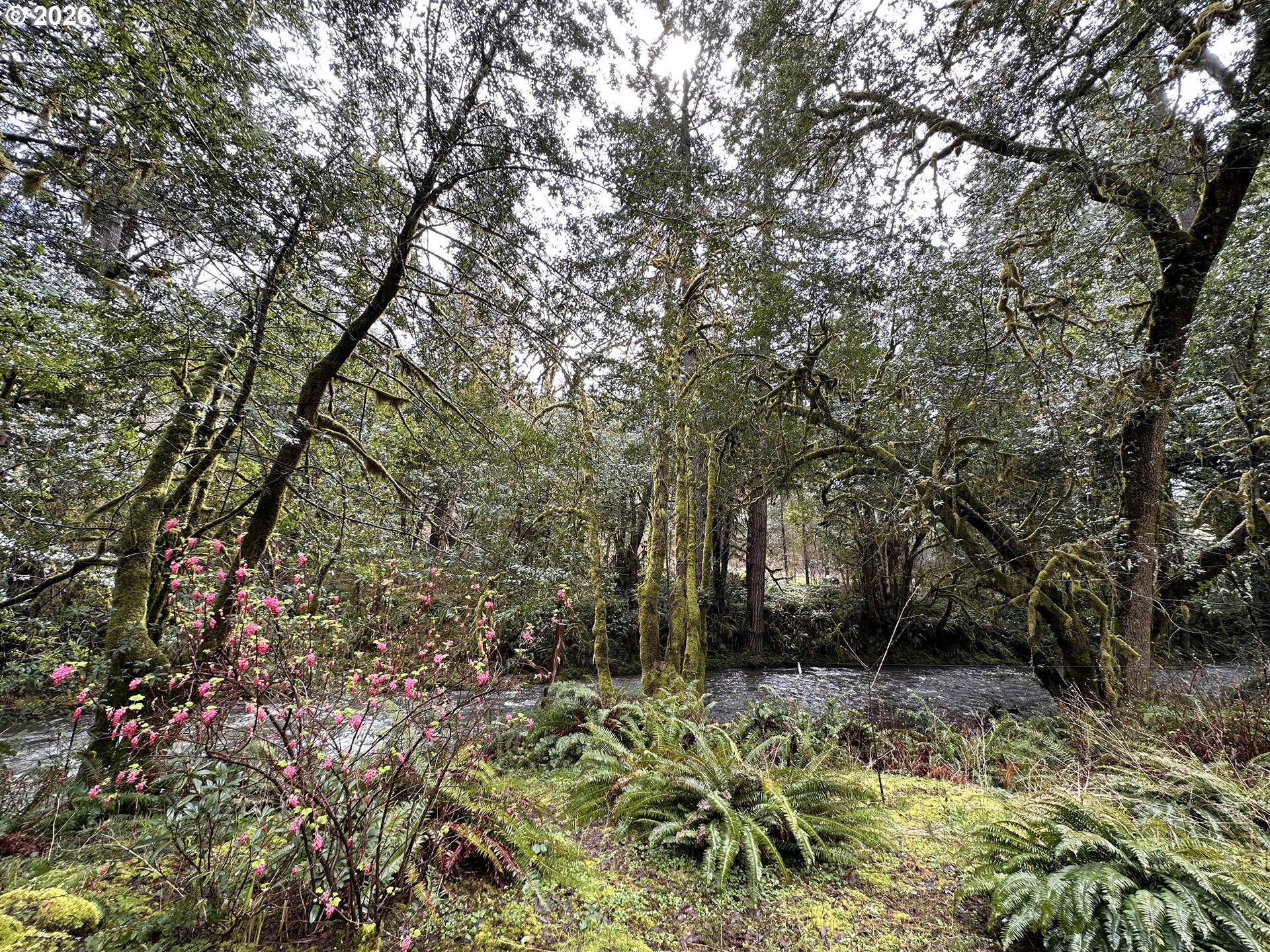 14940 Glenn Creek Road Coos Bay, OR 97420 - Photo 37 of 42