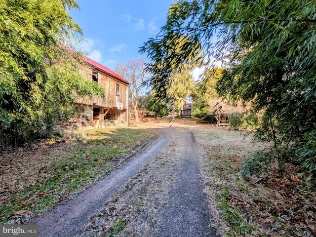a view of a yard with plants and trees