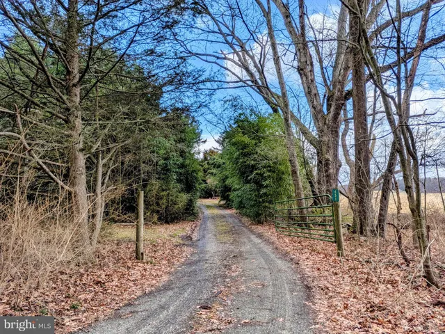 a backyard of a house with lots of trees