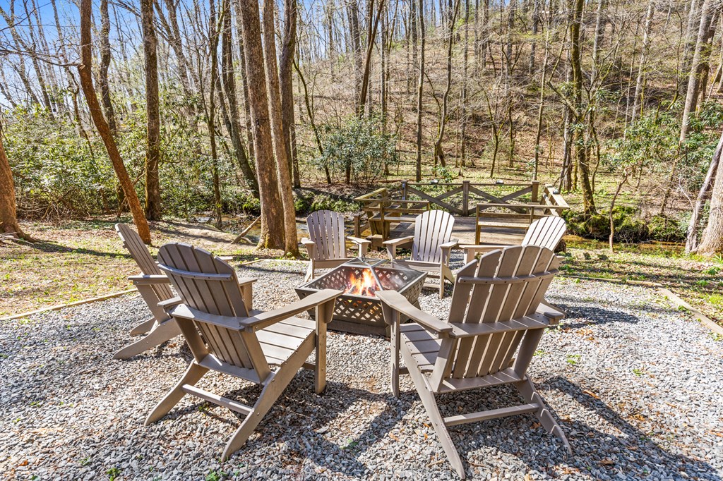 464 Twin Creeks Blue Ridge, GA 30513 - Photo 3 of 61 a view of a chairs and table in backyard