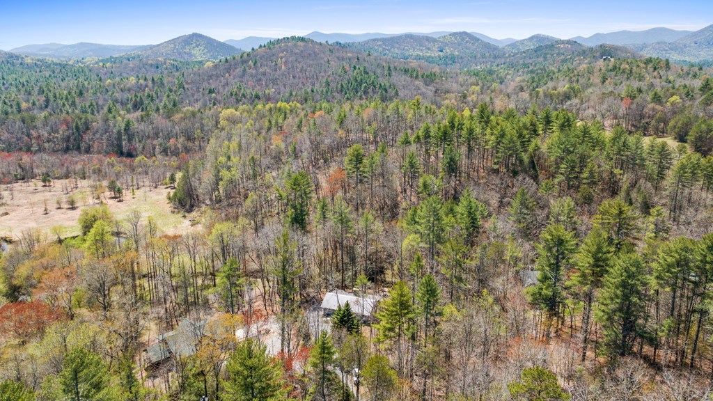 464 Twin Creeks Blue Ridge, GA 30513 - Photo 60 of 61 a view of a forest with a mountain