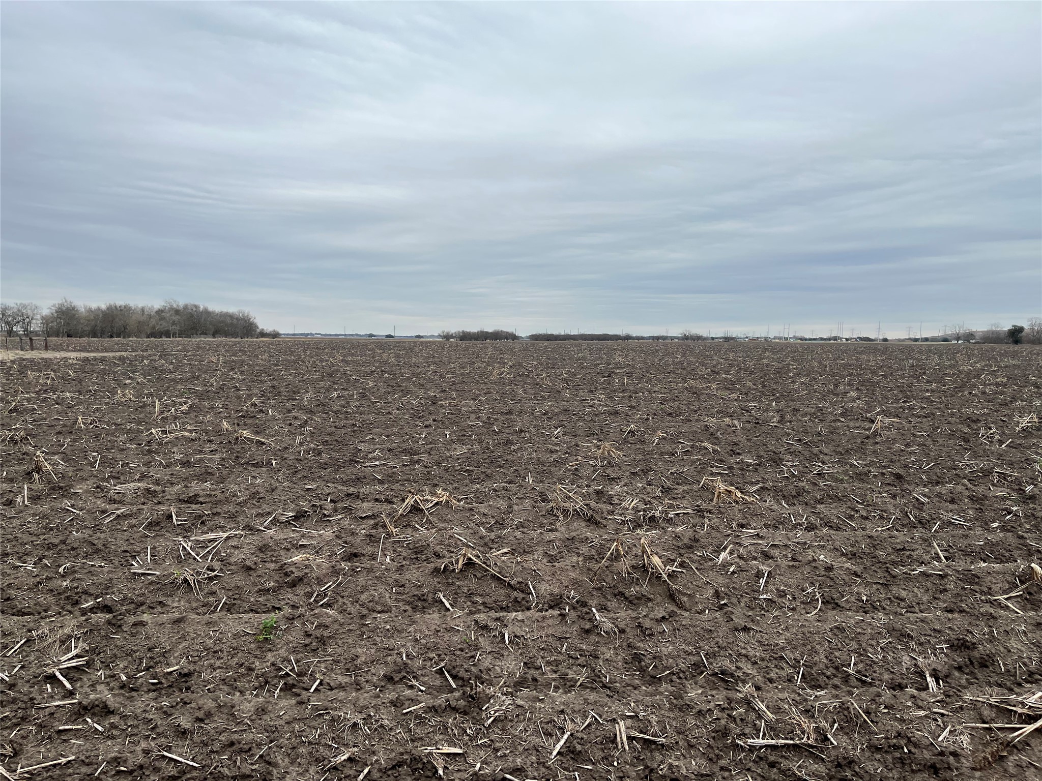 13315 Zamanek Road Needville, TX 77461 - Photo 25 of 28