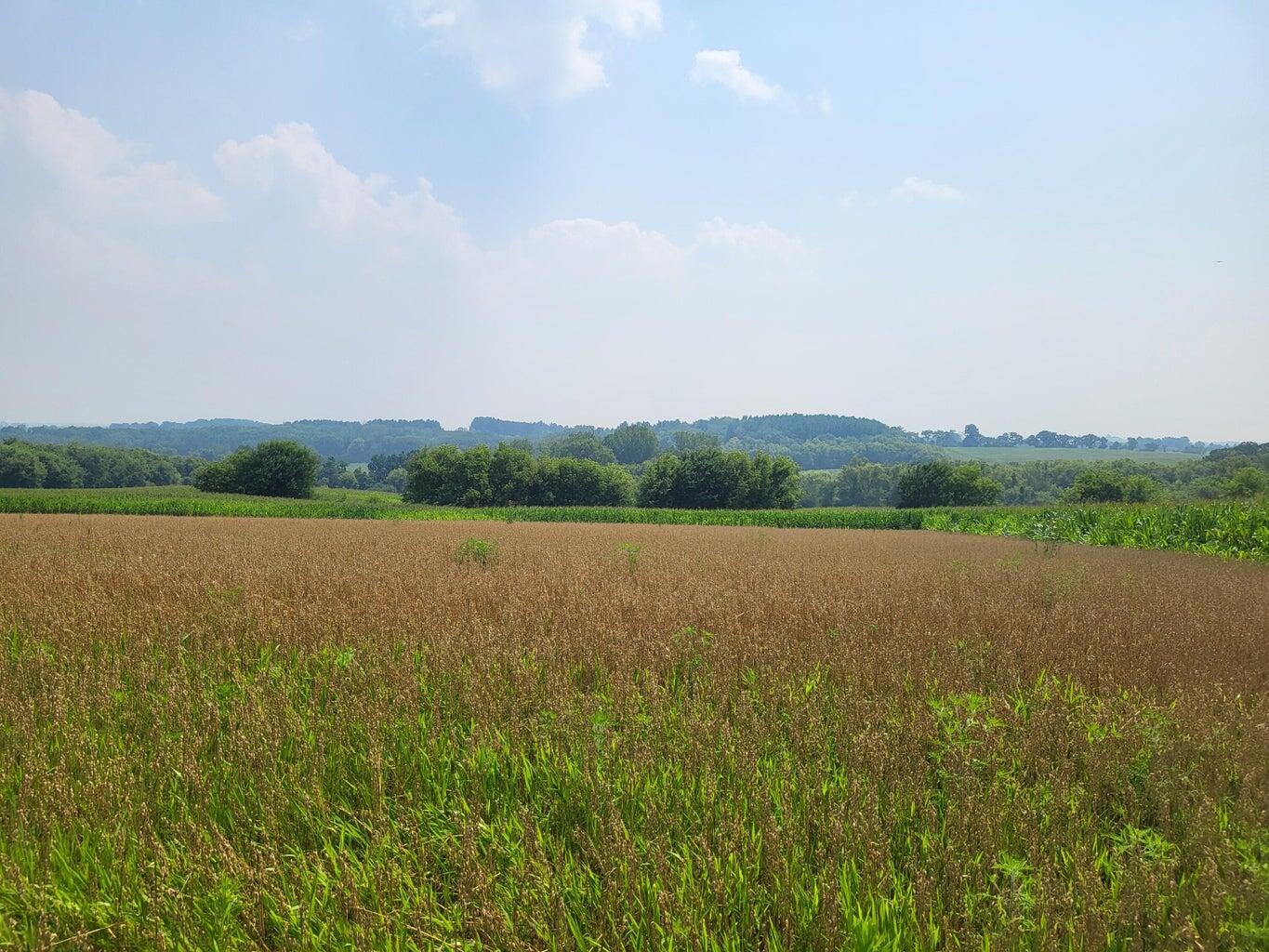 Lt6 Swoboda Road East Troy, WI 53120 - Photo 7 of 12 7