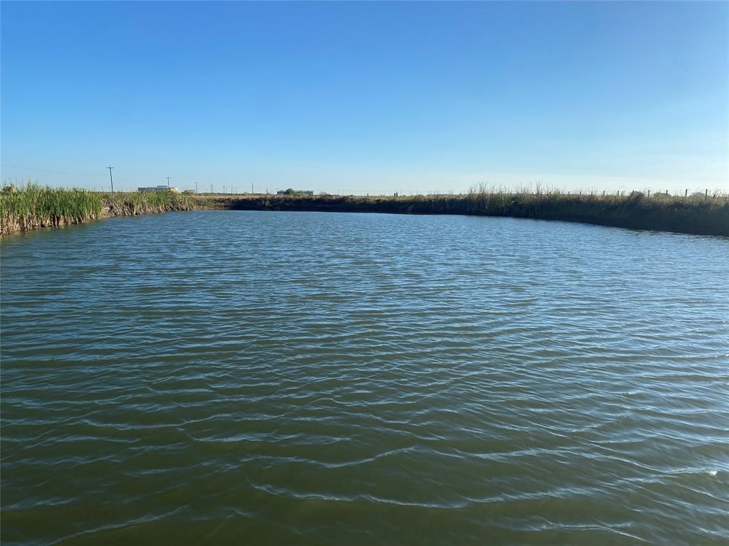286 County Road 286 Sargent, TX 77414 - Photo 7 of 10