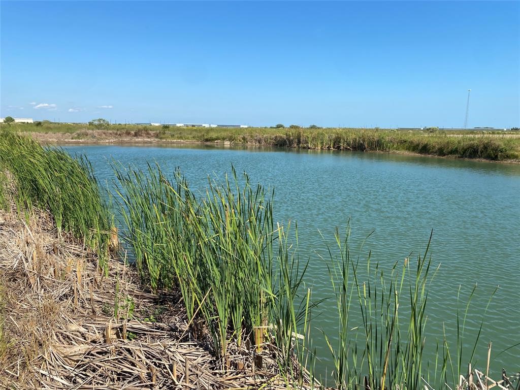 286 County Road 286 Sargent, TX 77414 - Photo 8 of 10