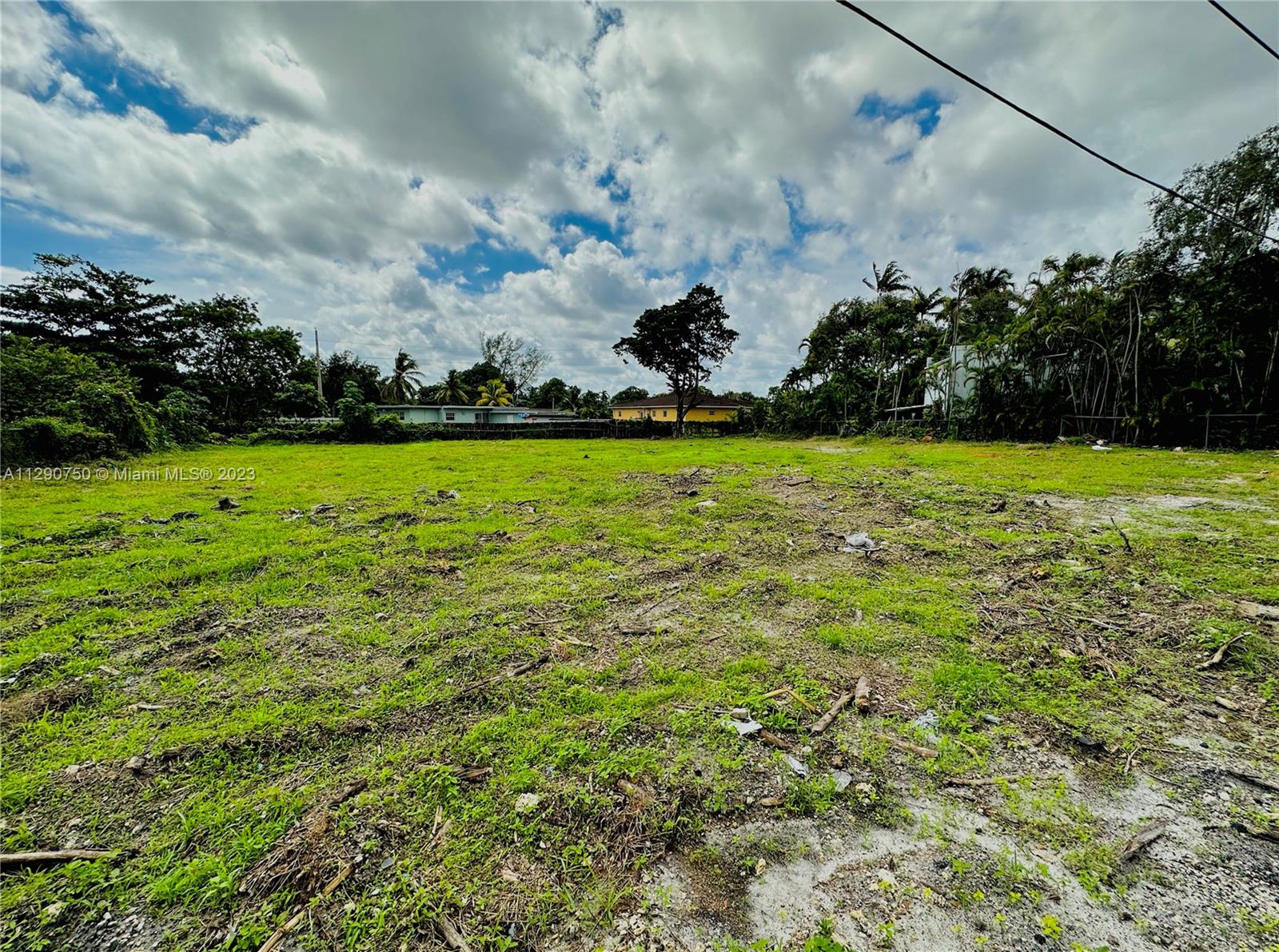 136 Northwest 164th Street Miami, FL 33169 - Photo 4 of 4 a view of a field with plants and trees