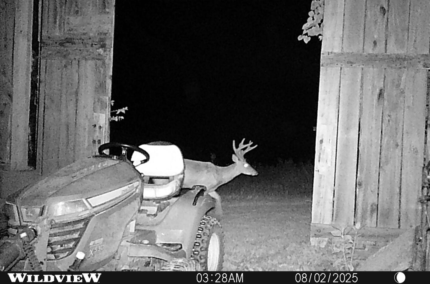 3890 Oregon Road Versailles, KY 40383 - Photo 32 of 36 2025-08-2 Barn Buck