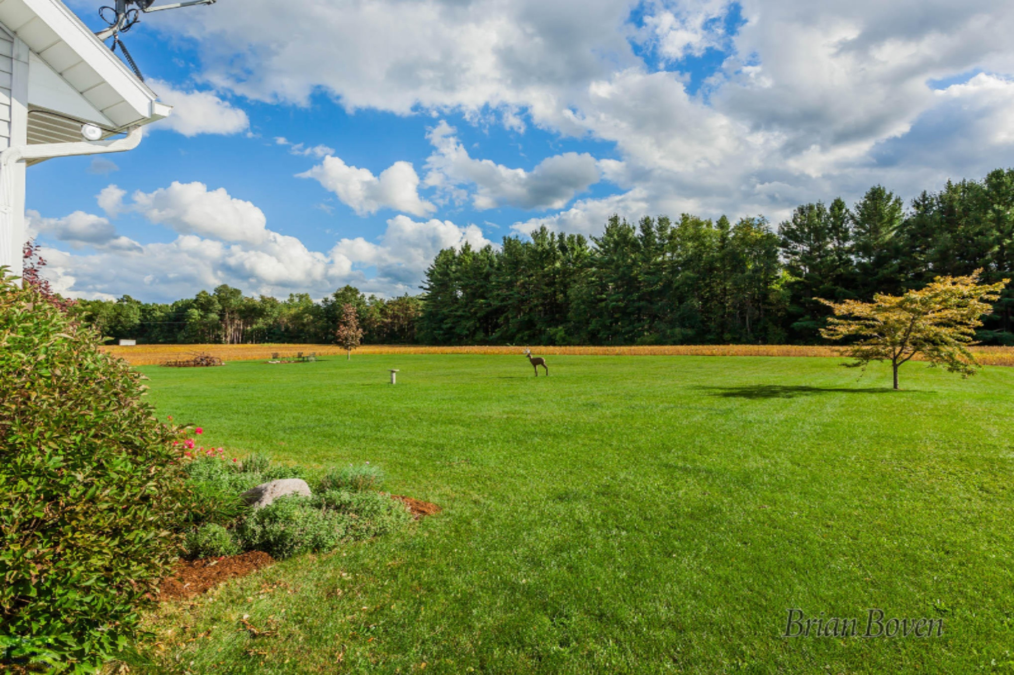 14080 Heffron Road Northeast Belding, MI 48809 - Photo 40 of 48 IMG_1071
