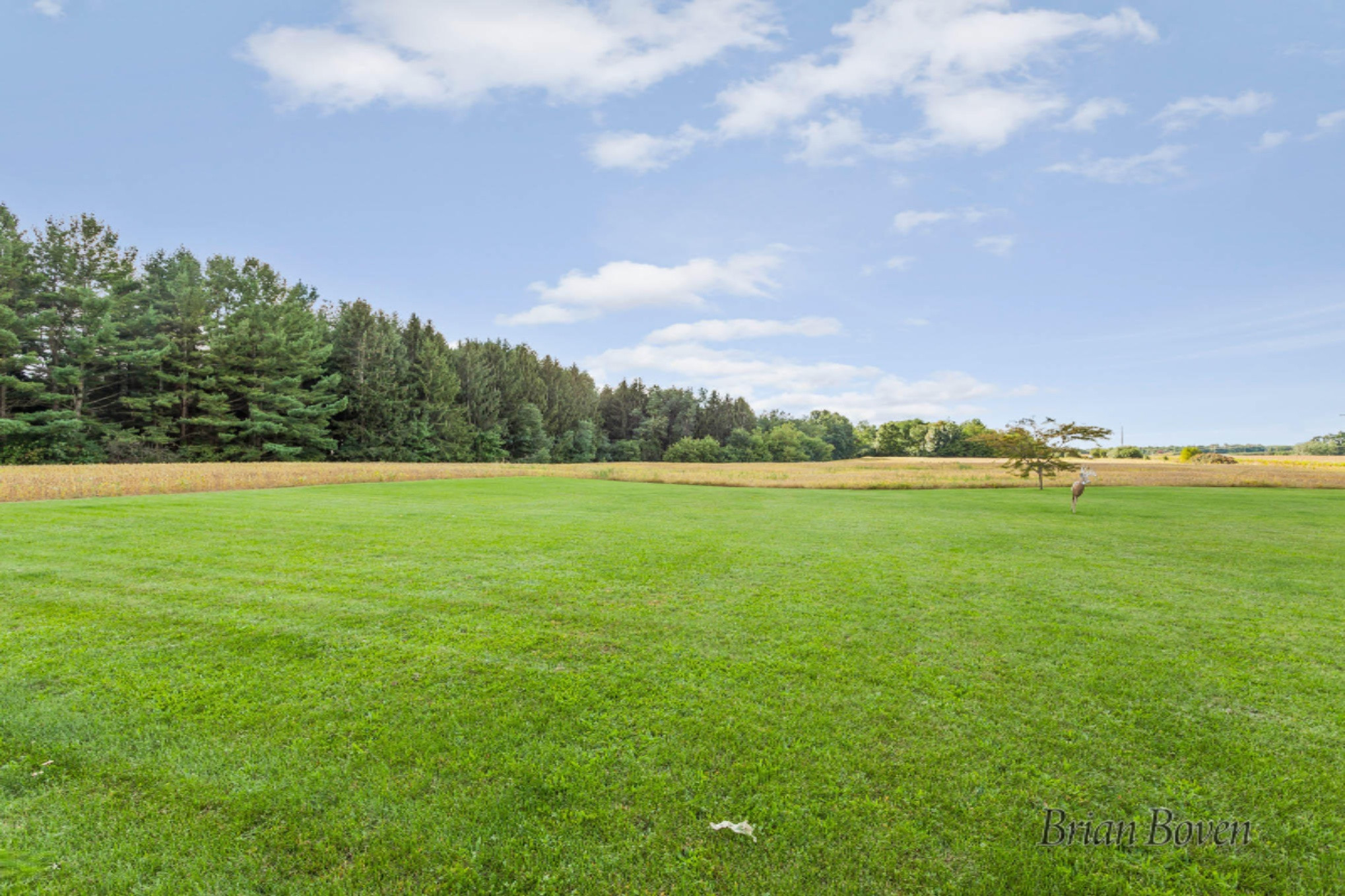 14080 Heffron Road Northeast Belding, MI 48809 - Photo 43 of 48 IMG_1074