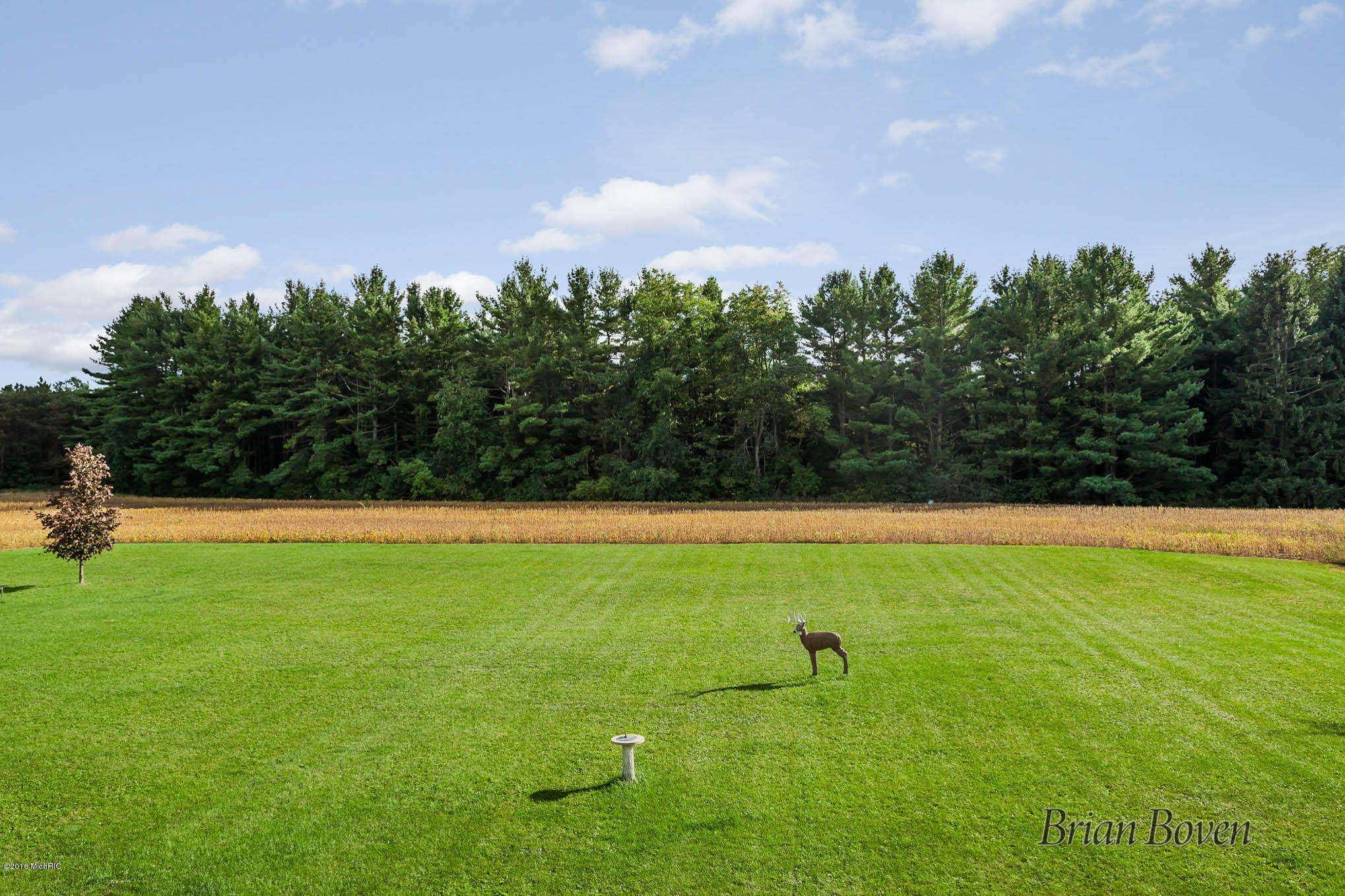 14080 Heffron Road Northeast Belding, MI 48809 - Photo 45 of 48 IMG_1076