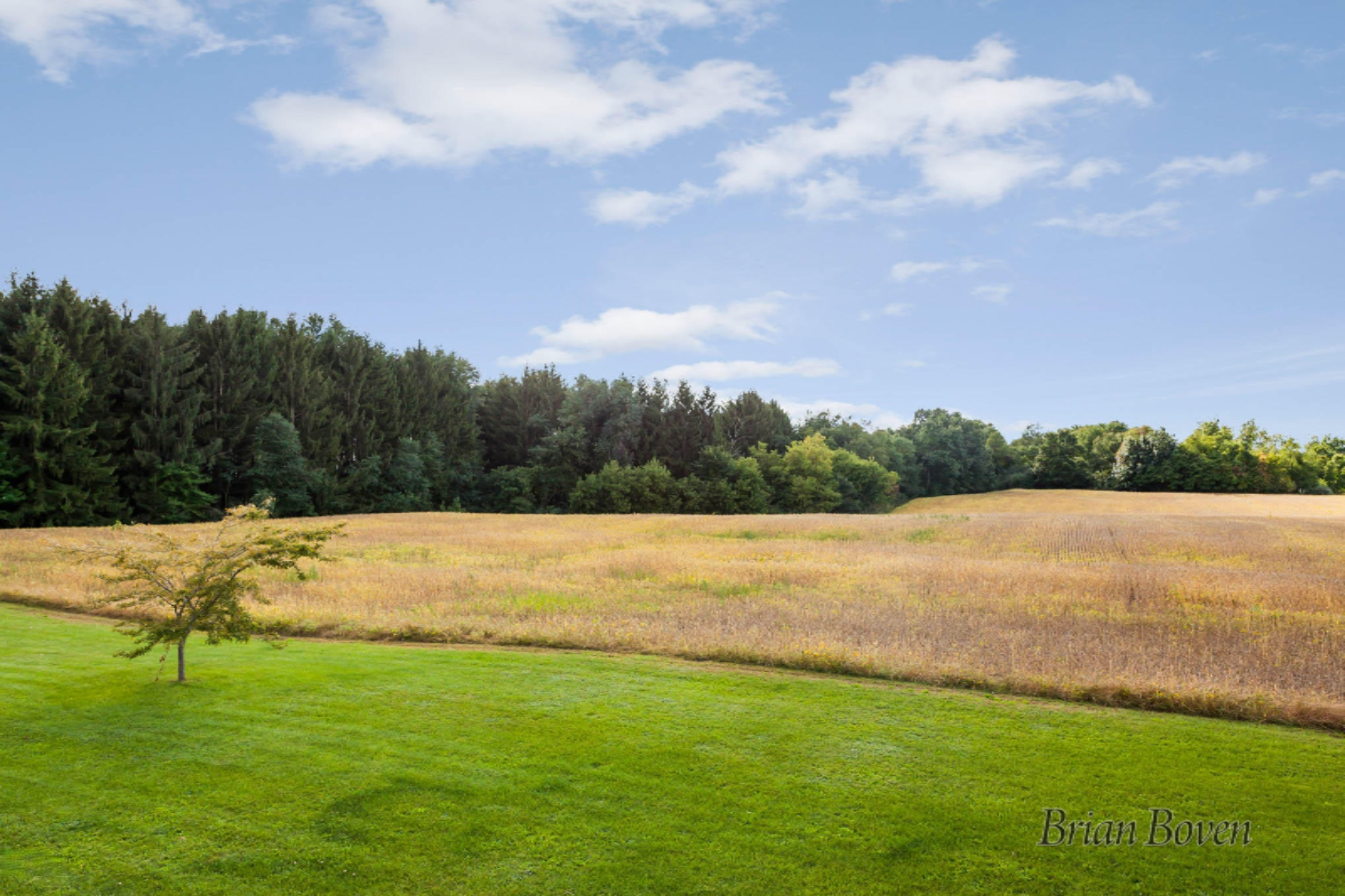 14080 Heffron Road Northeast Belding, MI 48809 - Photo 46 of 48 IMG_1077