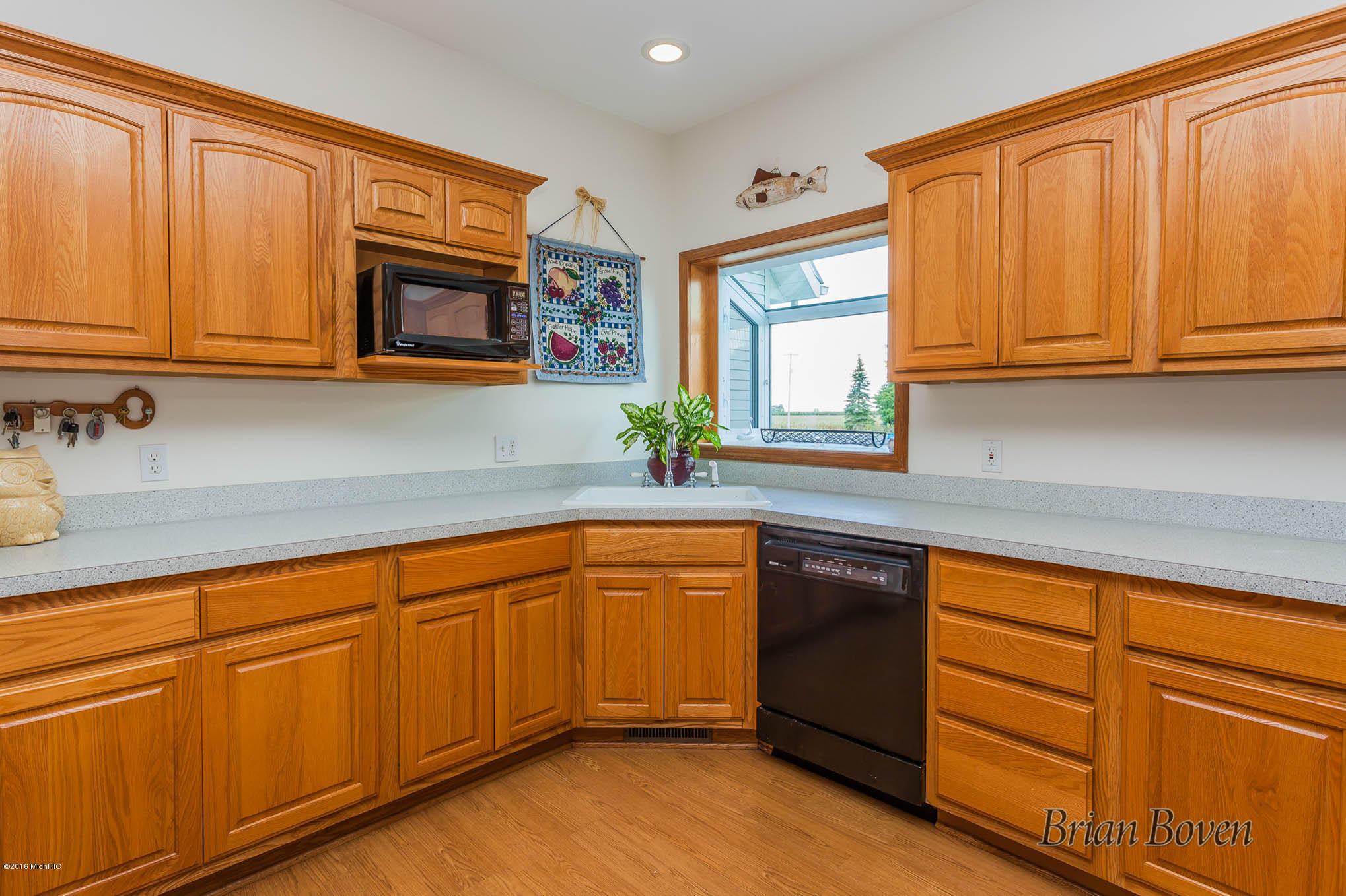 14080 Heffron Road Northeast Belding, MI 48809 - Photo 5 of 48 IMG_1003