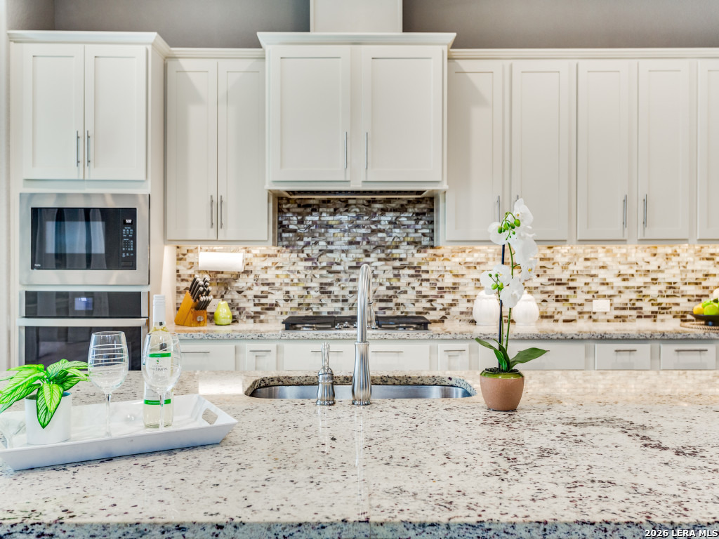 312 Lantana Crossing Spring Branch, TX 78070 - Photo 14 of 47