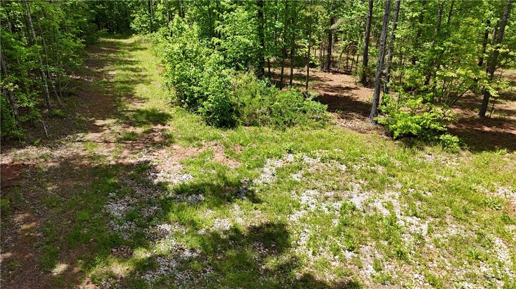 1 Wilson Road Temple, GA 30179 - Photo 84 of 88
