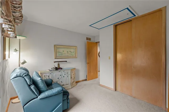 a view of a yard with plants and large trees