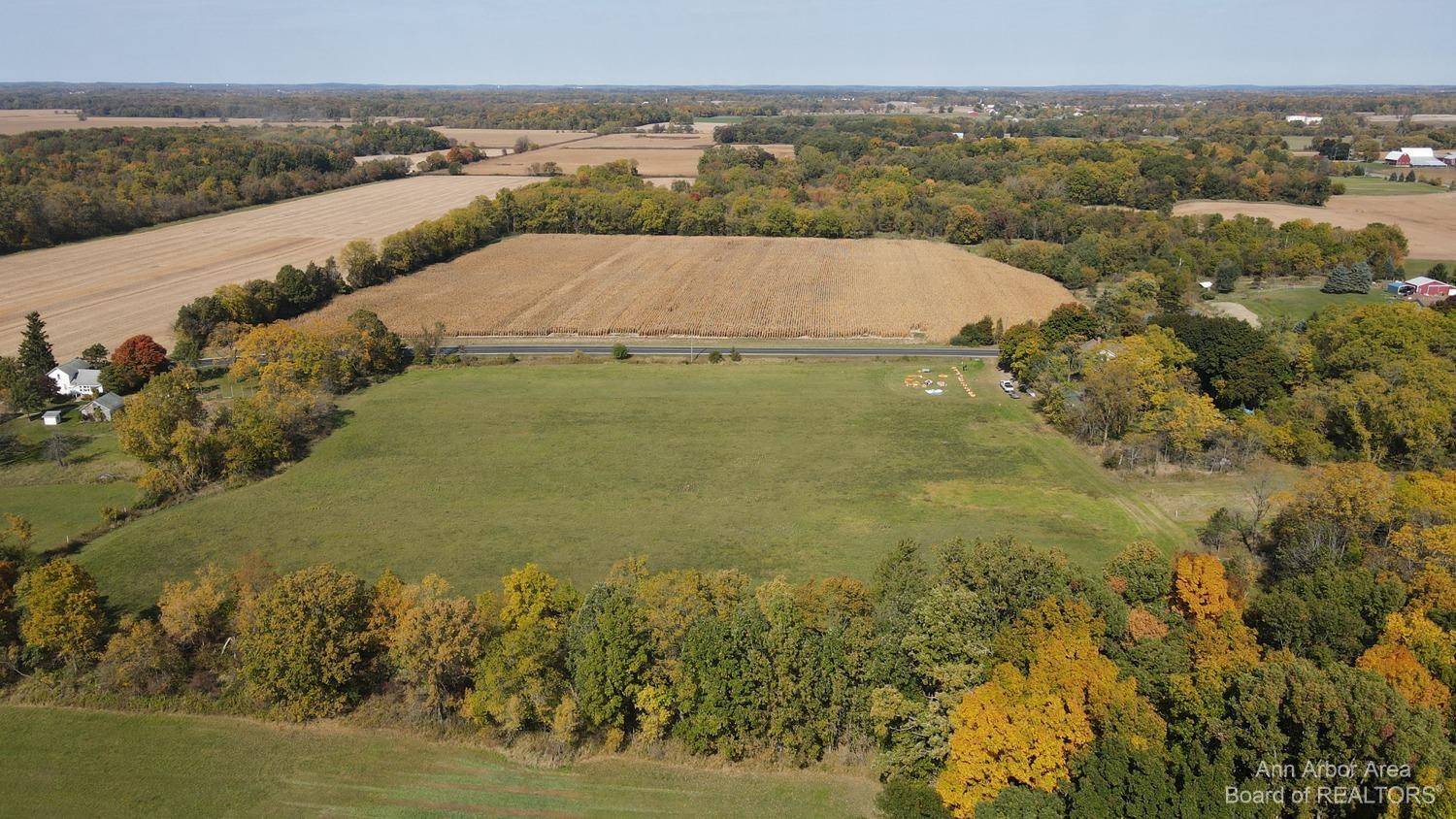 12701 East Pleasant Lake Road Manchester, MI 48158 - Photo 42 of 60 Facing North