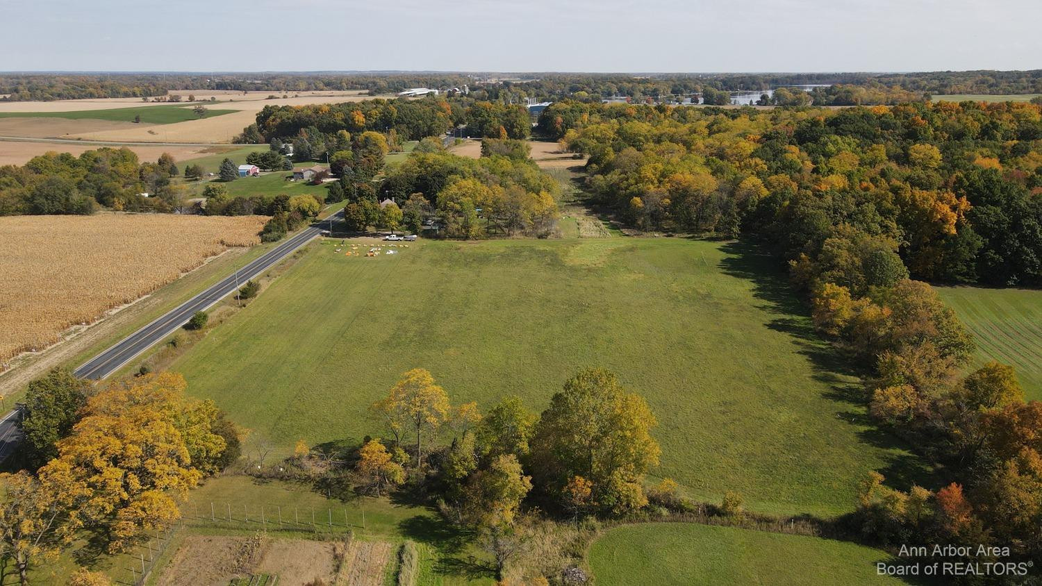 12701 East Pleasant Lake Road Manchester, MI 48158 - Photo 43 of 60 Facing East