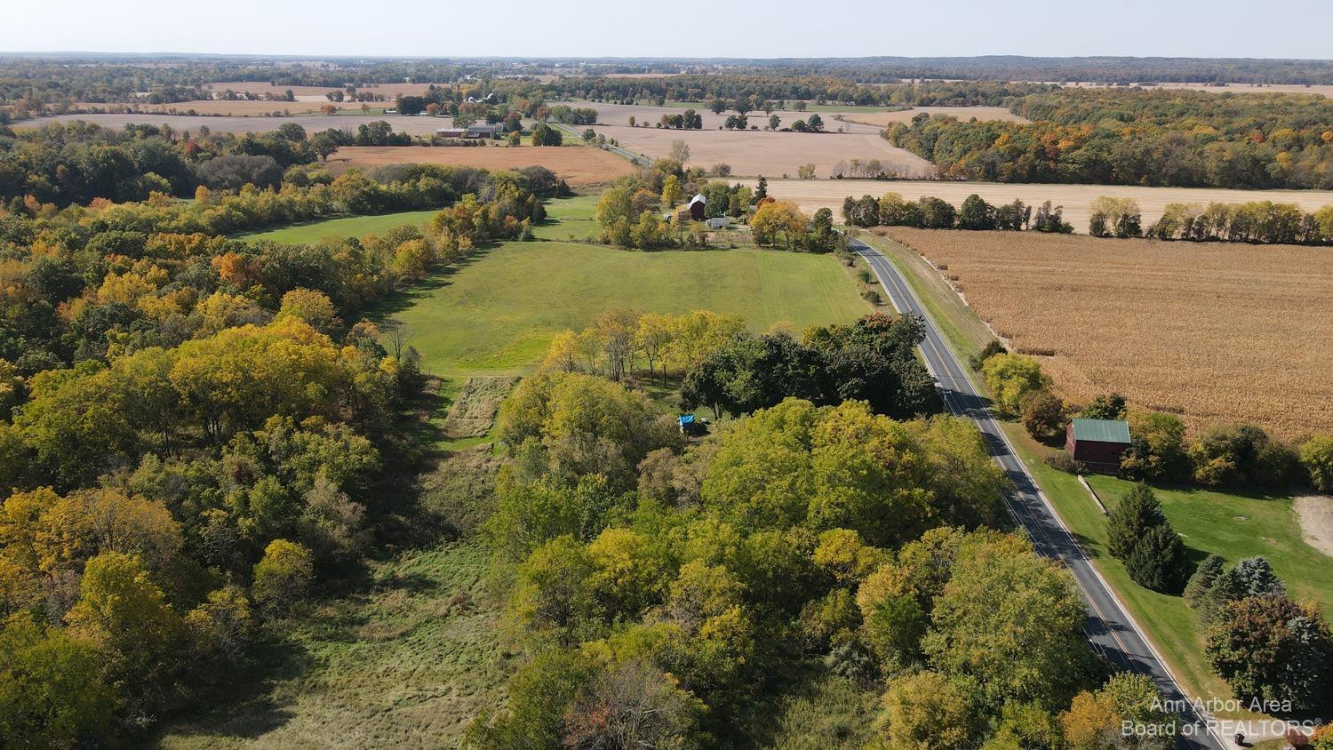12701 East Pleasant Lake Road Manchester, MI 48158 - Photo 45 of 60 Facing West