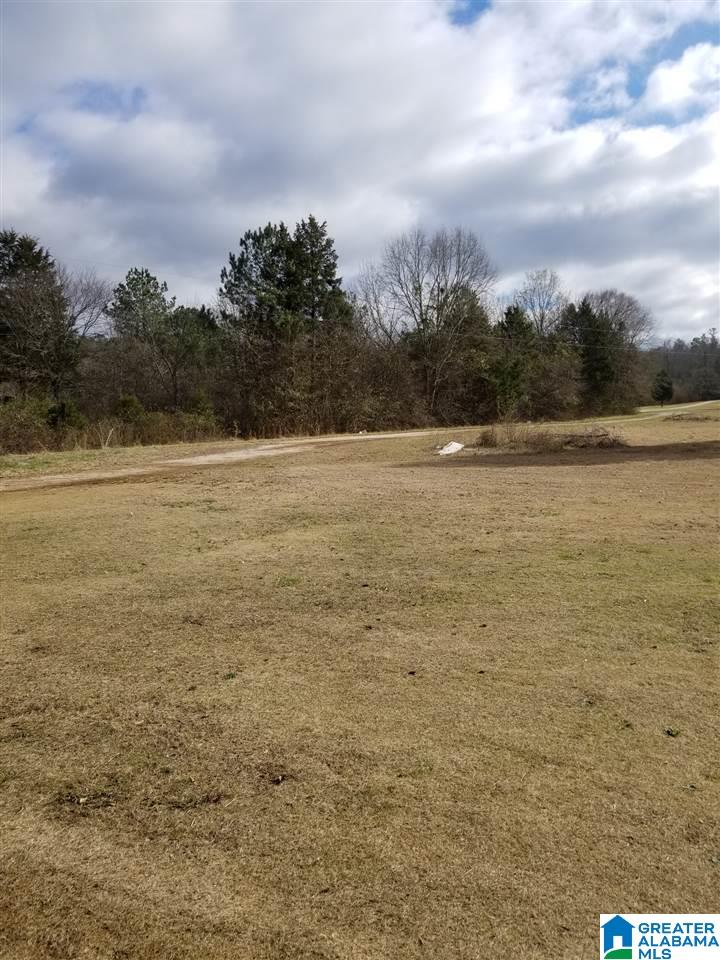 796 Heasletts Road Childersburg, AL 35044 - Photo 12 of 19