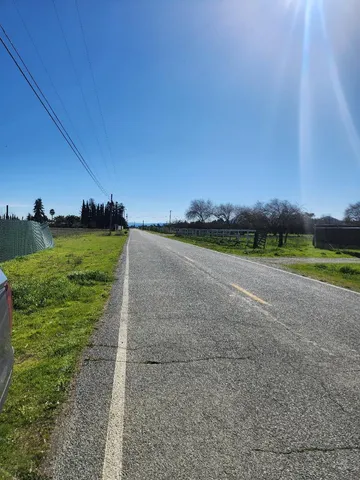 a view of a big yard with palm trees