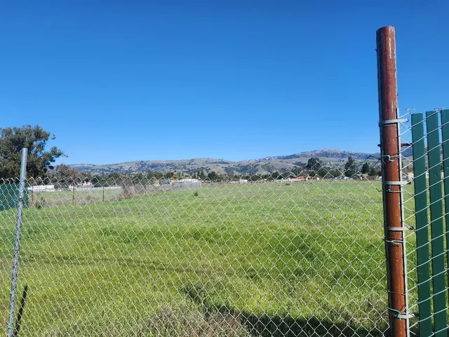 a view of a city with lush green forest