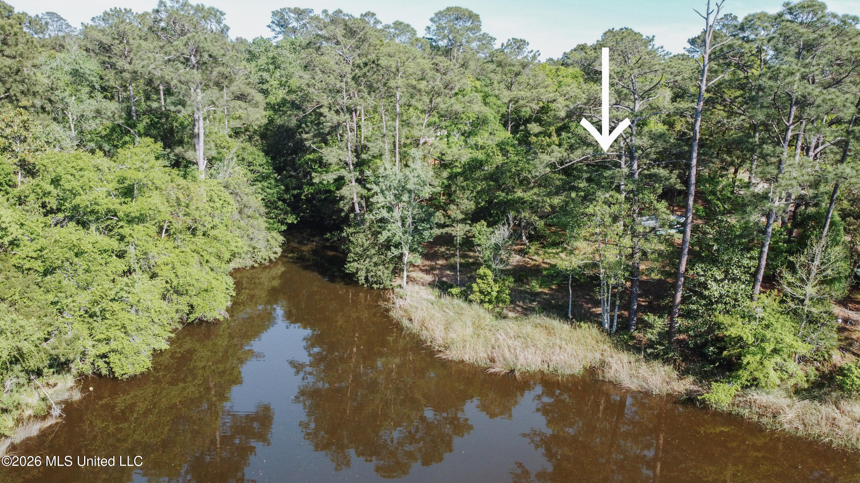 9300 Ridgeview Drive Ocean Springs, MS 39564 - Photo 3 of 54 9300 Ridgeview Drive 3