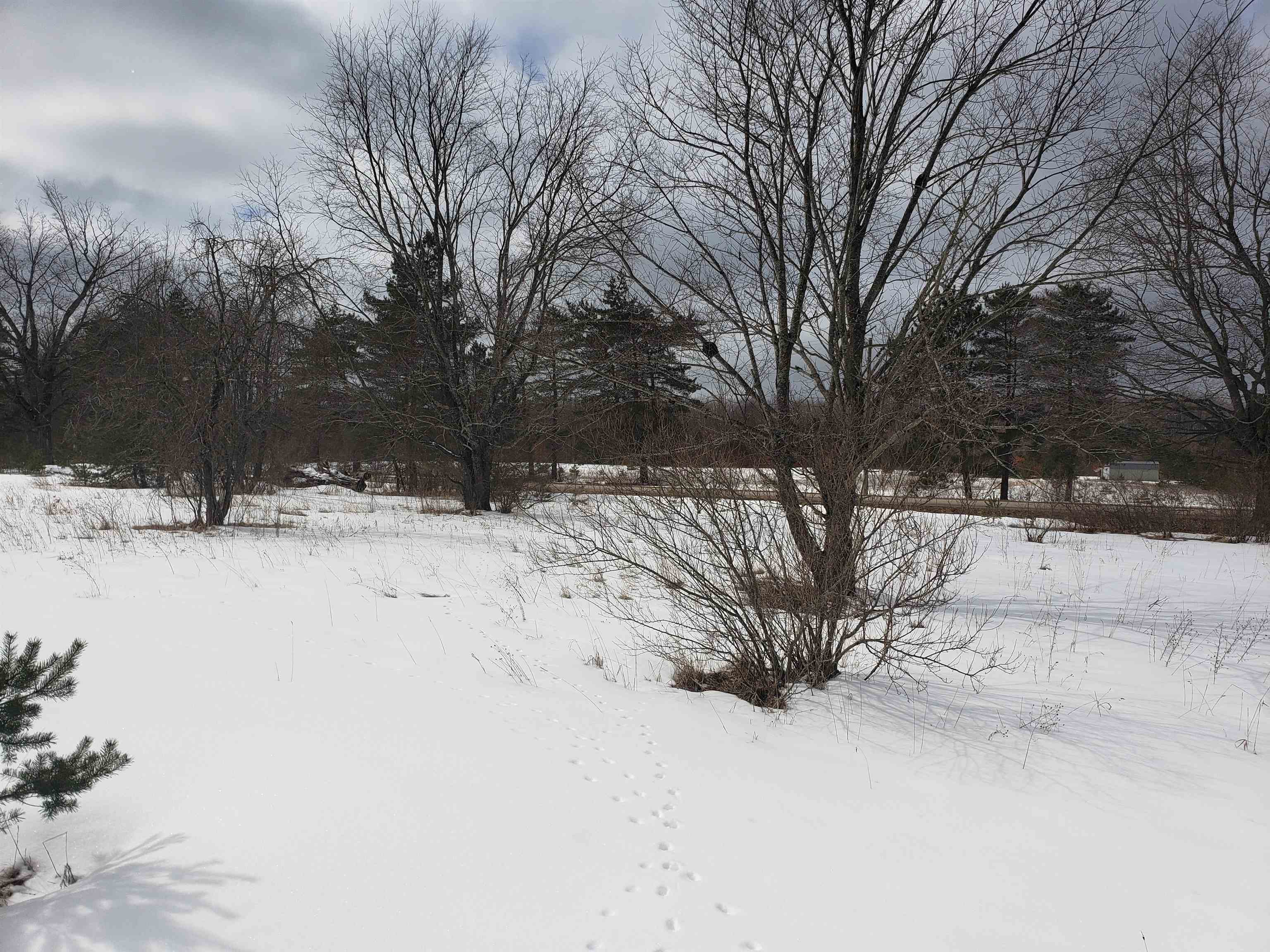 9474 Innis Road Northeast Alden, MI 49612 - Photo 10 of 11 Gallery Image 10