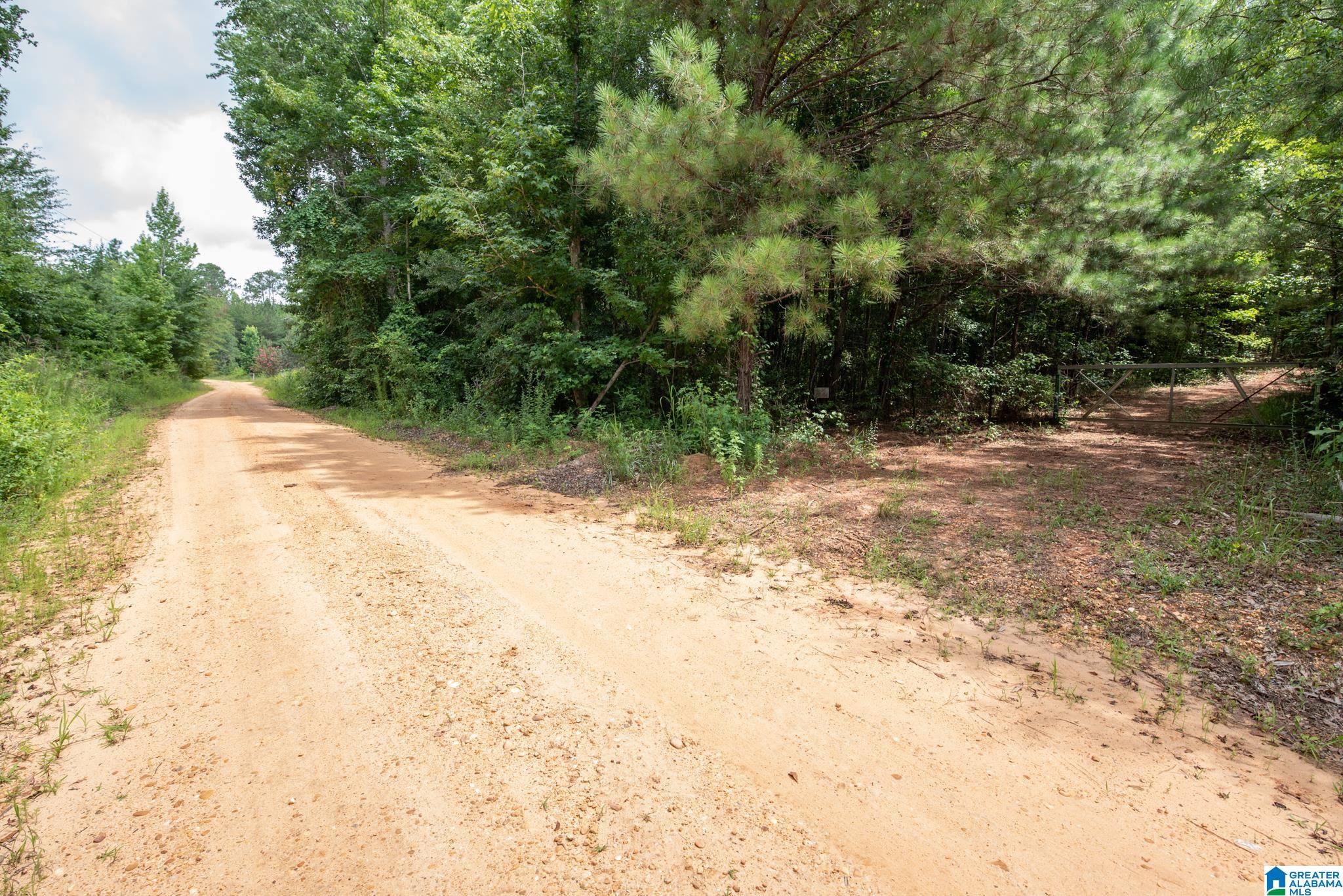 3025 Potato Patch Creek Road Marion, AL 36756 - Photo 11 of 24
