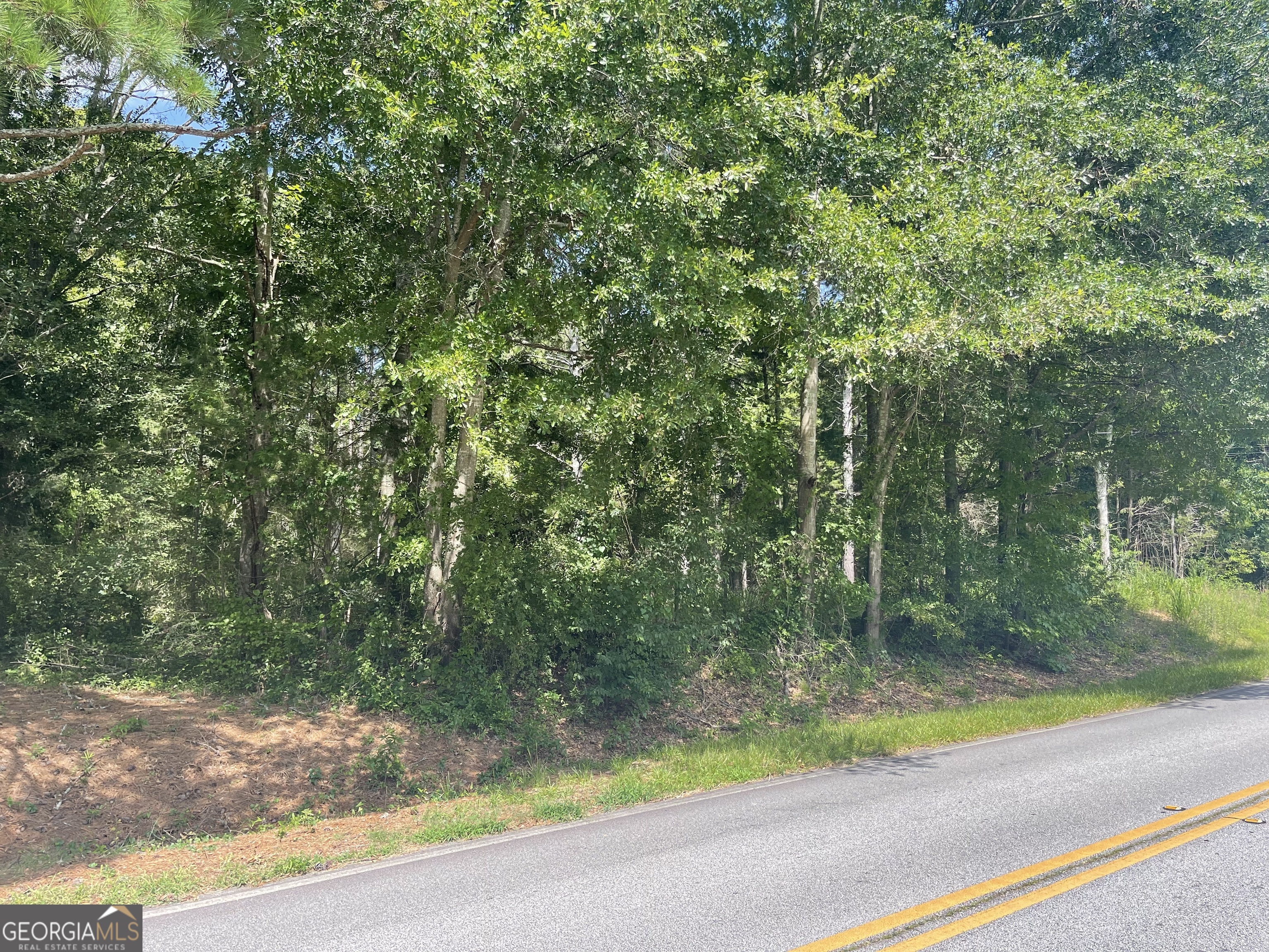 a view of backyard with green space