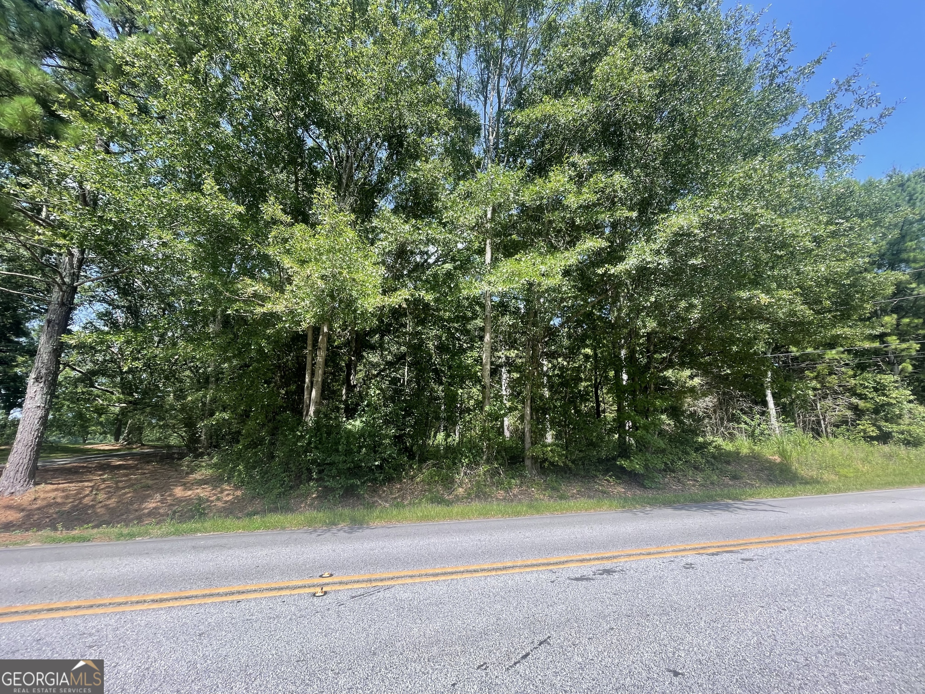 0 Asa Moseley Road Stockbridge, GA 30281 - Photo 2 of 6 a view of a yard with a trees