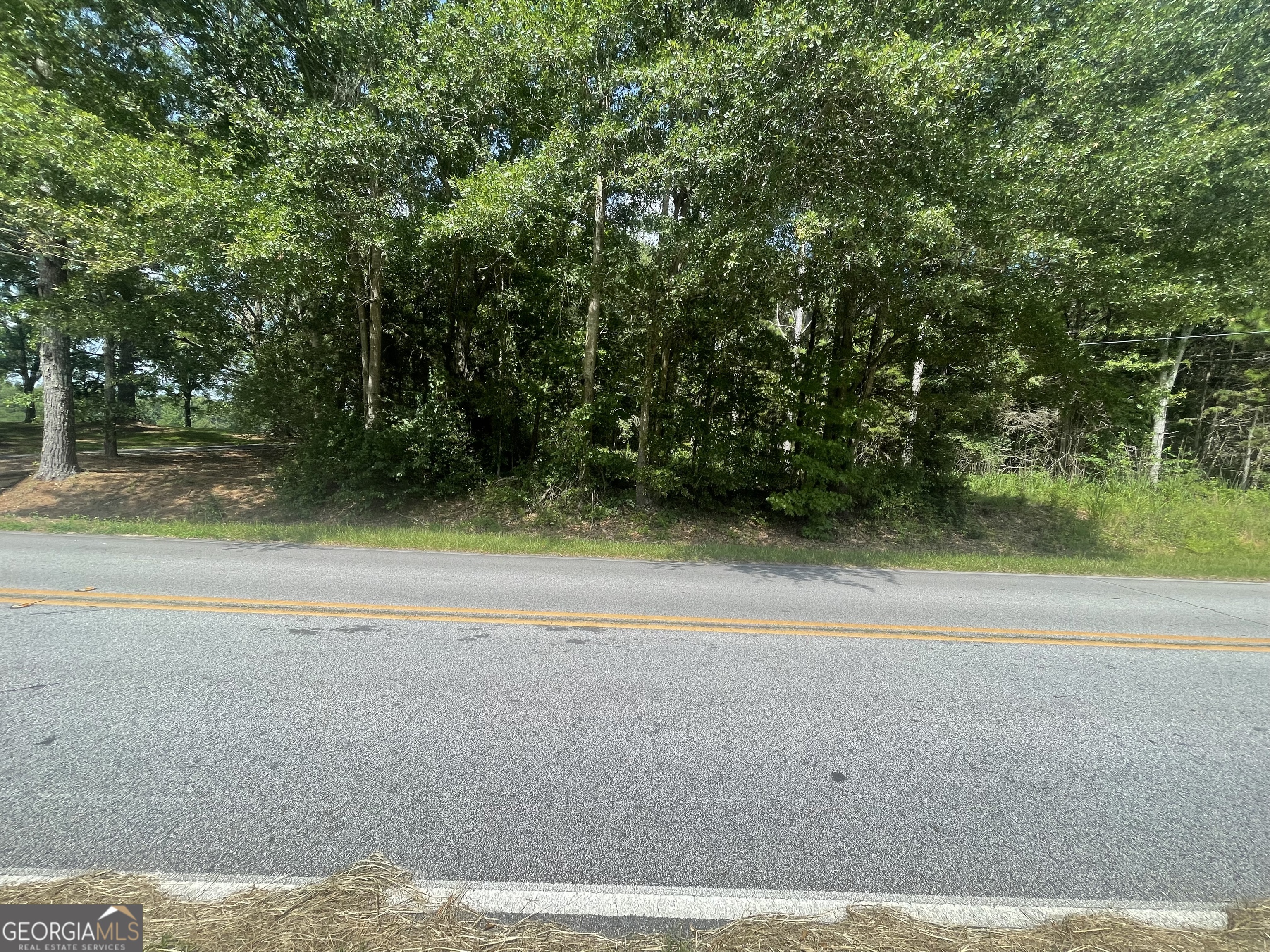 0 Asa Moseley Road Stockbridge, GA 30281 - Photo 3 of 6 a view of a yard with a trees