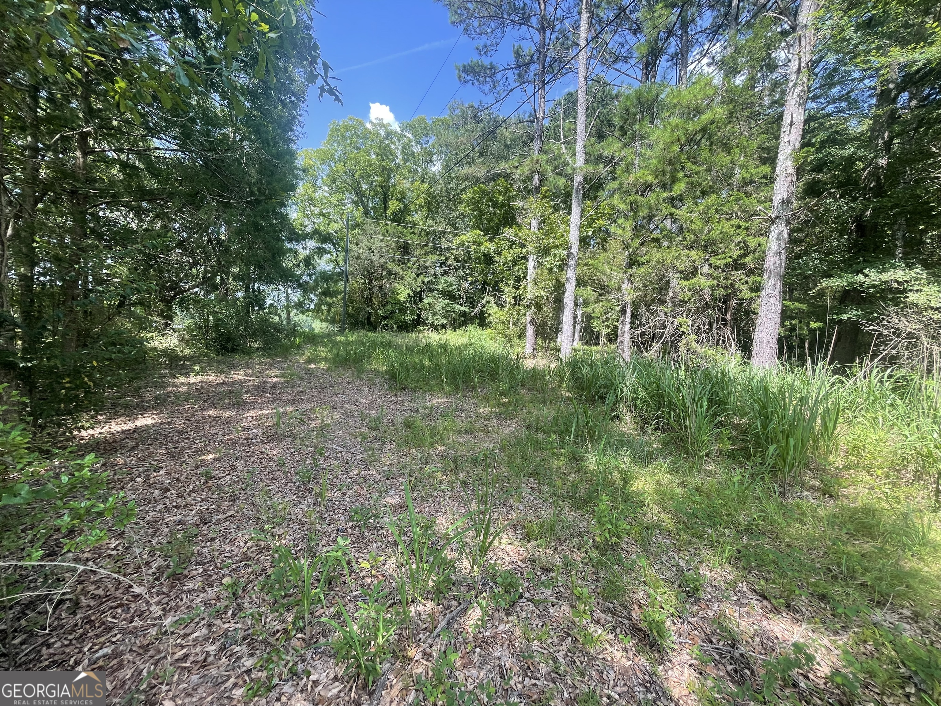 0 Asa Moseley Road Stockbridge, GA 30281 - Photo 4 of 6 a view of a lush green forest