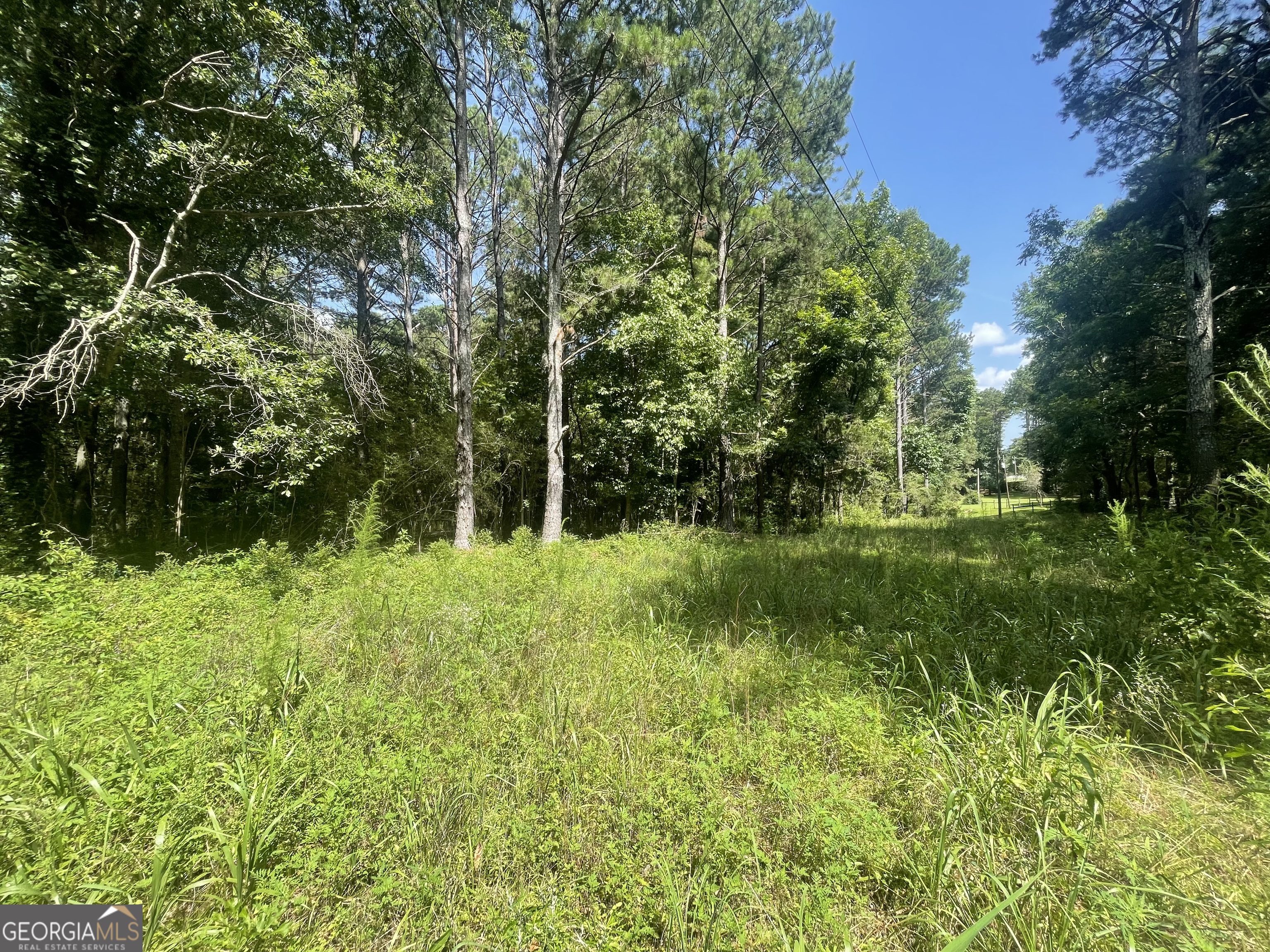 0 Asa Moseley Road Stockbridge, GA 30281 - Photo 5 of 6 a view of outdoor space and yard
