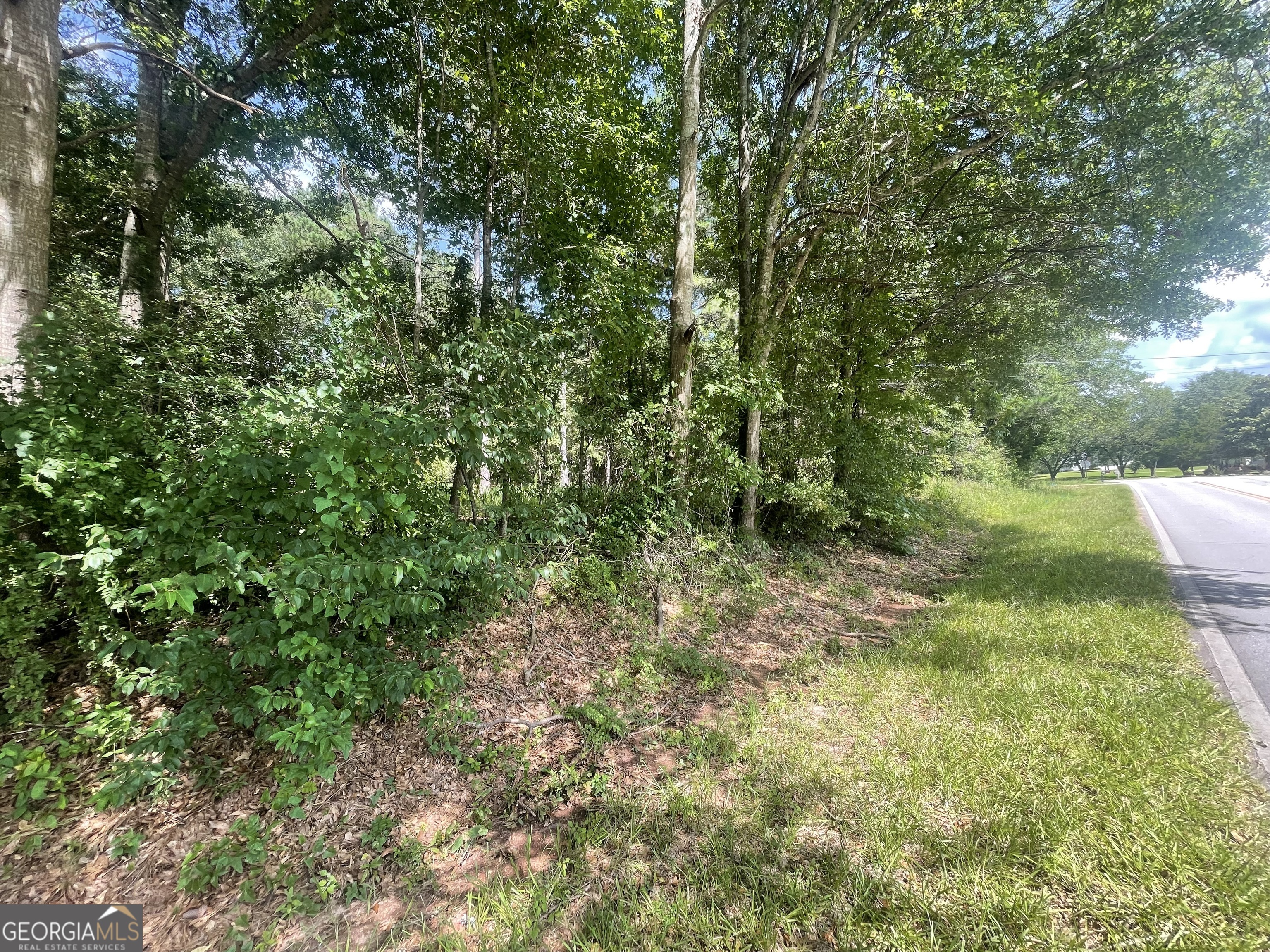 0 Asa Moseley Road Stockbridge, GA 30281 - Photo 6 of 6 a view of a yard with a tree