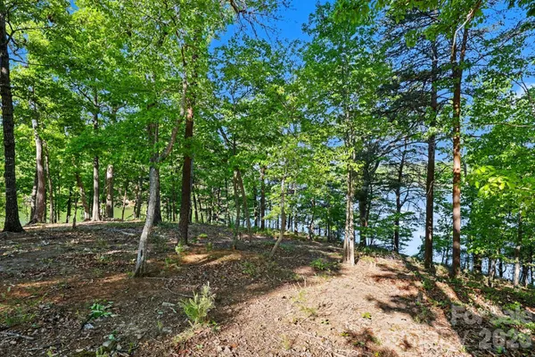 $965,000 | 1629 Healing Springs Drive, Denton, NC 27239