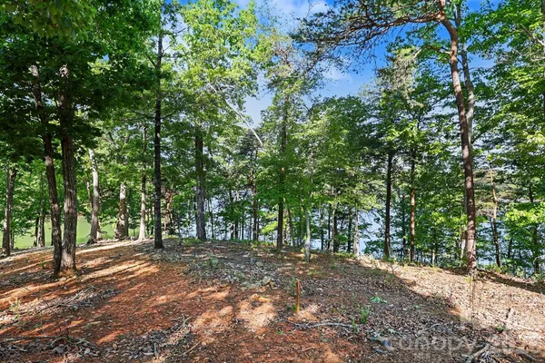 $965,000 | 1629 Healing Springs Drive, Denton, NC 27239
