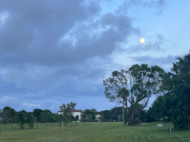 a view of a lake with a big yard