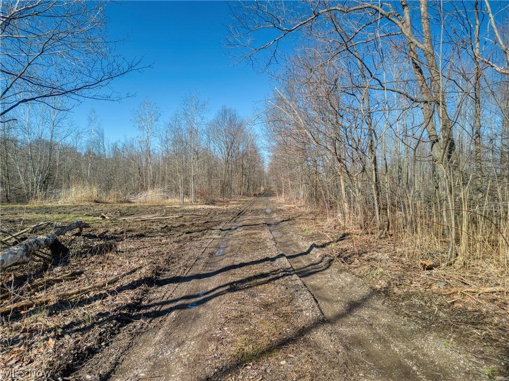 County Line Road Geneva, OH 44041 - Photo 6 of 11