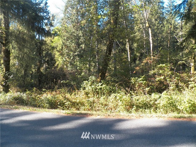 0 Connors Road Snohomish, WA 98290 - Photo 1 of 5
